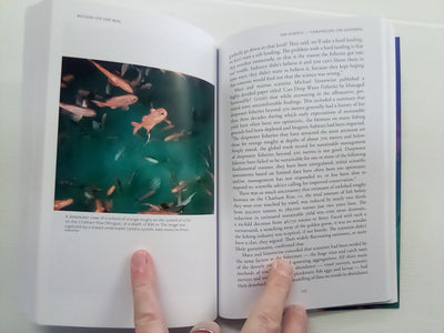 Roughy On the Rise - The Story of New Zealand's Most Controversial Fishery by Tim Pankhurst