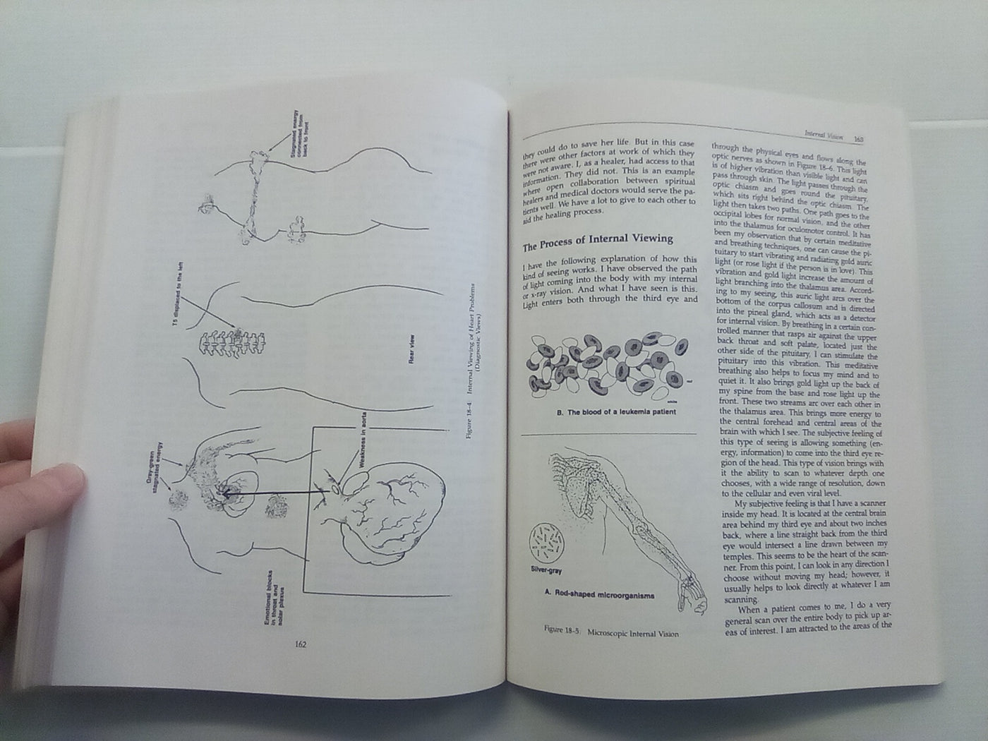 Hands Of Light - A Guide to Healing Through the Human Energy Field by Barbara Ann Brennan