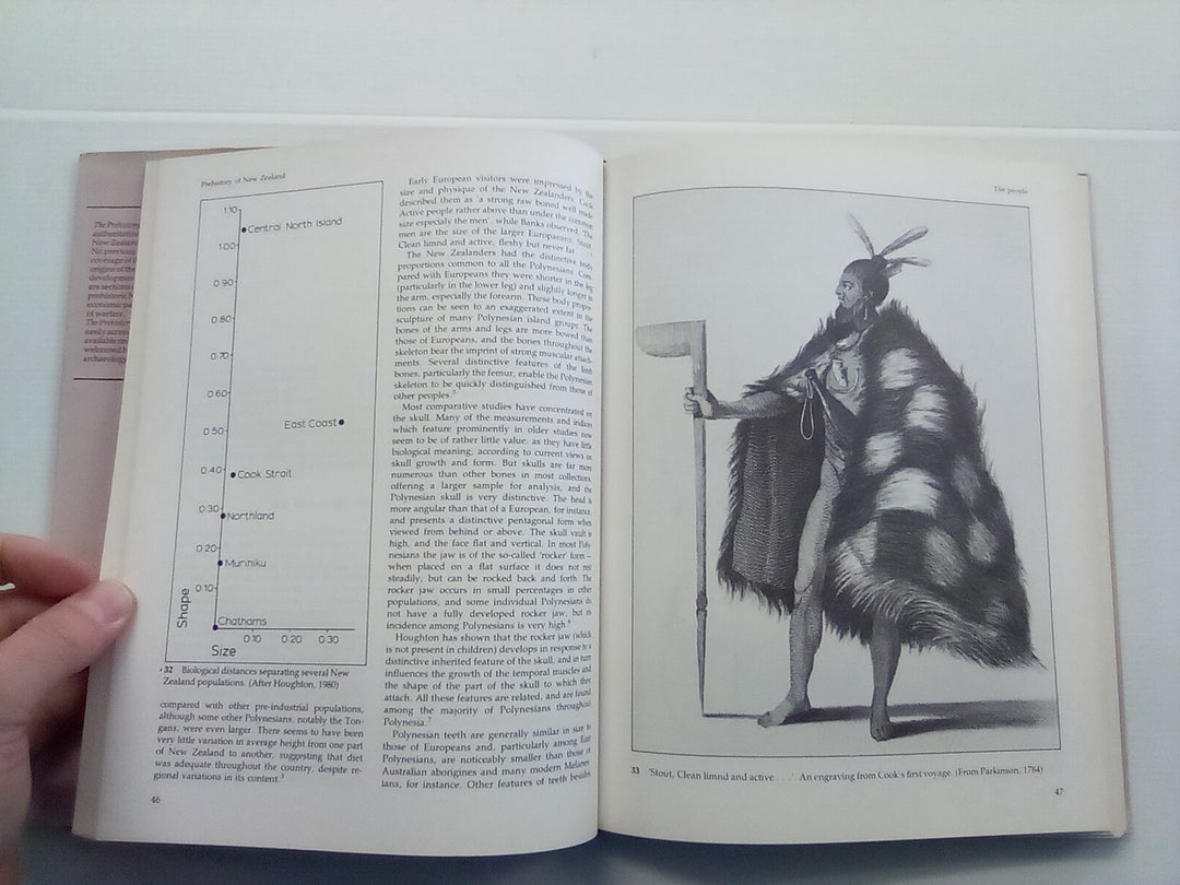 The Prehistory of New Zealand by Janet Davidson – Atlantis Books