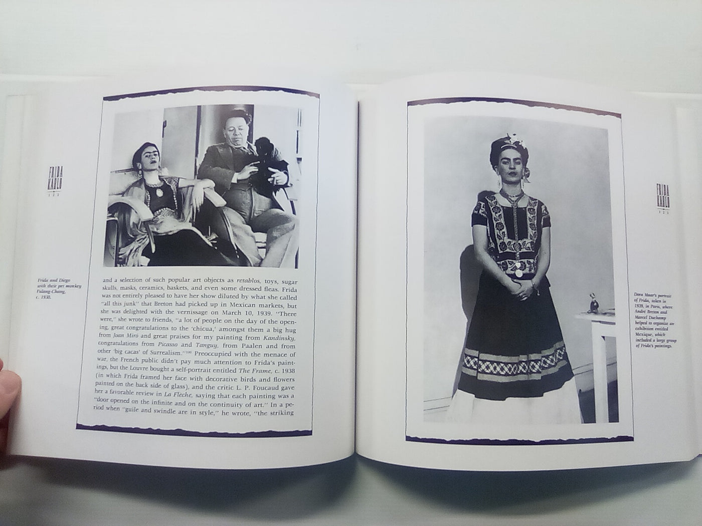 Frida Kahlo - The Paintings by Hayden Herrera
