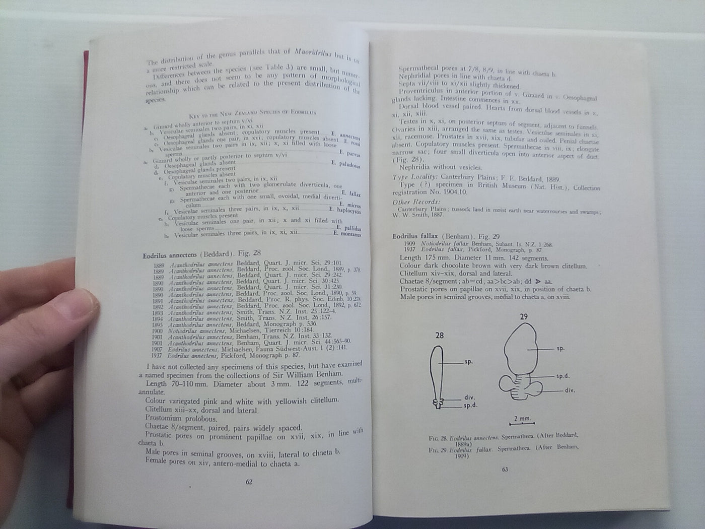 The Earthworm Fauna of New Zealand (1959) by K.E. Lee
