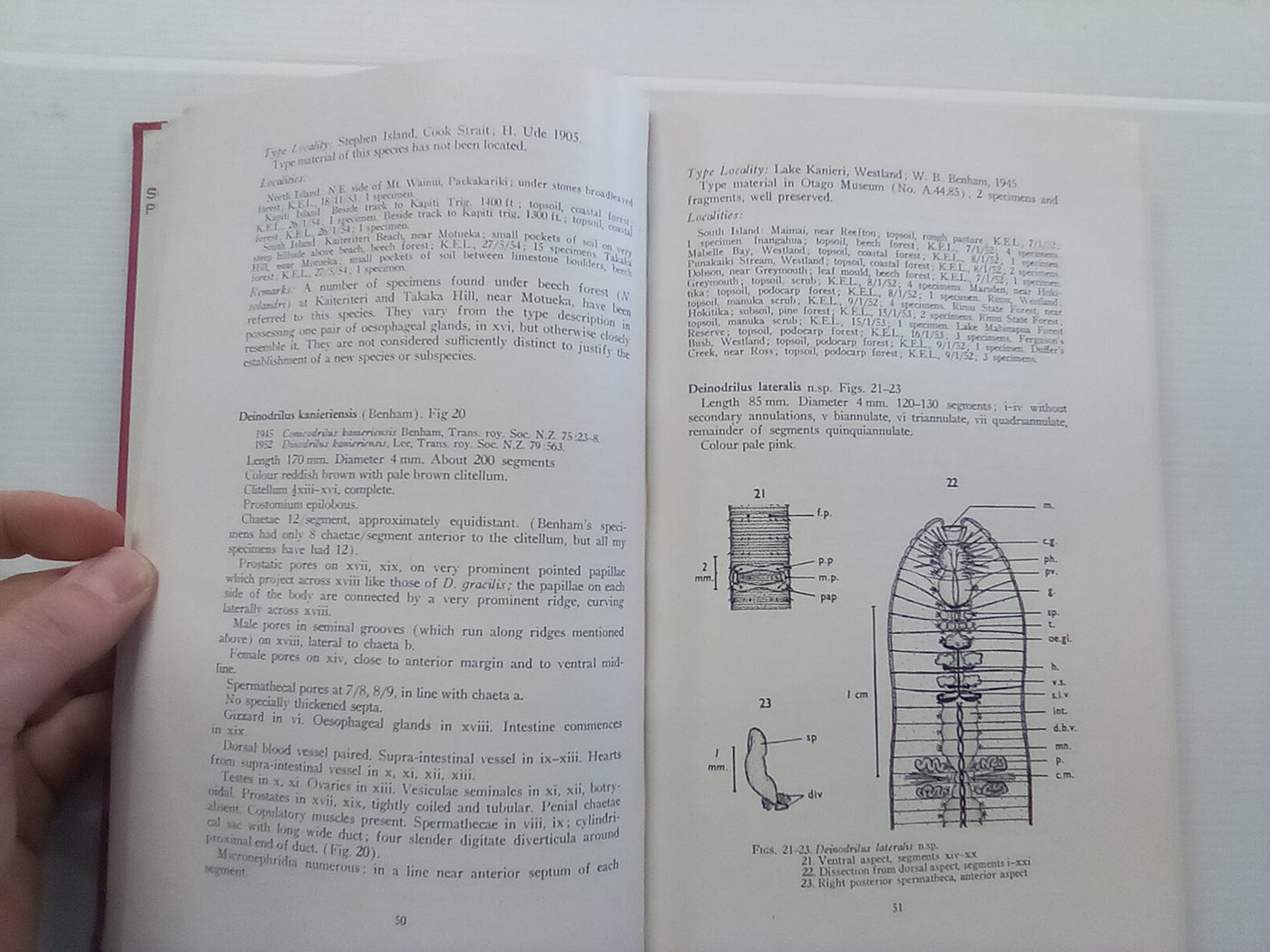 The Earthworm Fauna of New Zealand (1959) by K.E. Lee