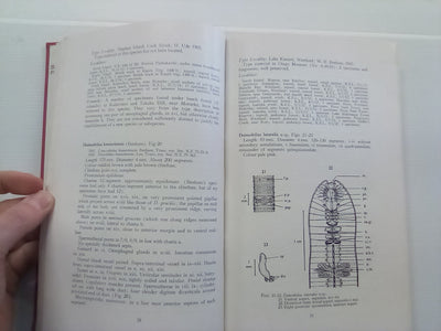 The Earthworm Fauna of New Zealand (1959) by K.E. Lee