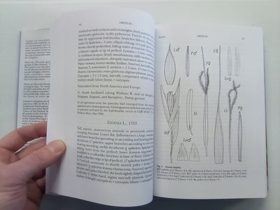 Flora of New Zealand Volume 5: Grasses by E. Edgar and H.E. Connor