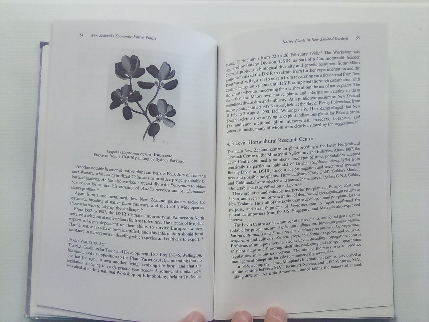 New Zealand's Economic Native Plants by R.C. Cooper and R.C. Cambie