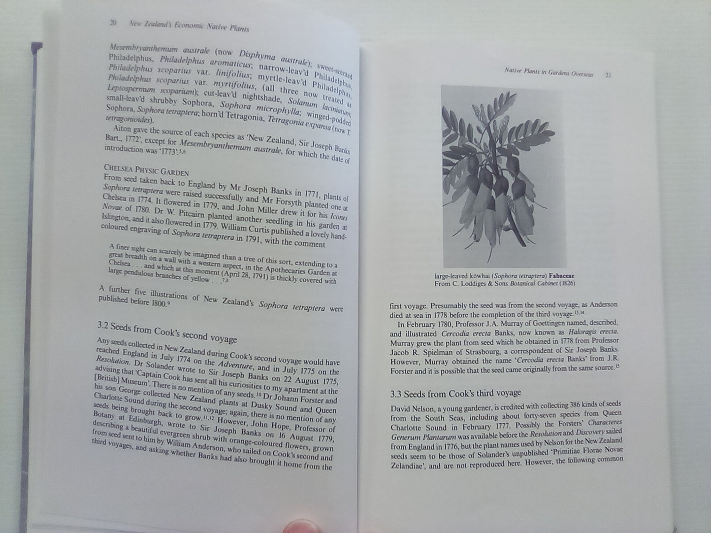 New Zealand's Economic Native Plants by R.C. Cooper and R.C. Cambie