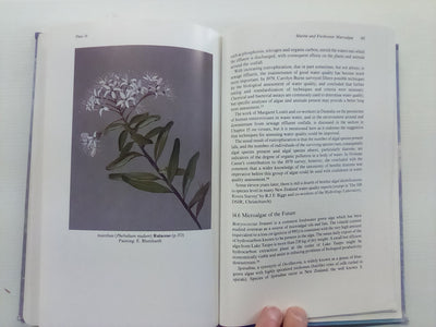 New Zealand's Economic Native Plants by R.C. Cooper and R.C. Cambie