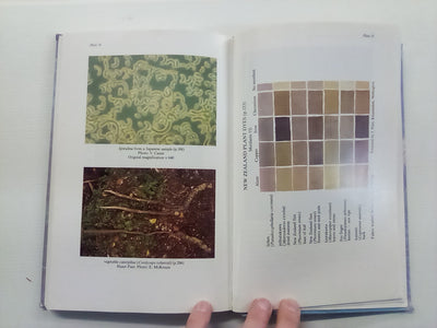 New Zealand's Economic Native Plants by R.C. Cooper and R.C. Cambie