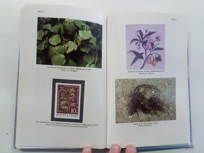New Zealand's Economic Native Plants by R.C. Cooper and R.C. Cambie