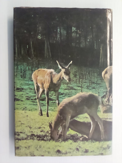 The Red Stags of the Rakaia (1970) by D. Bruce Banwell