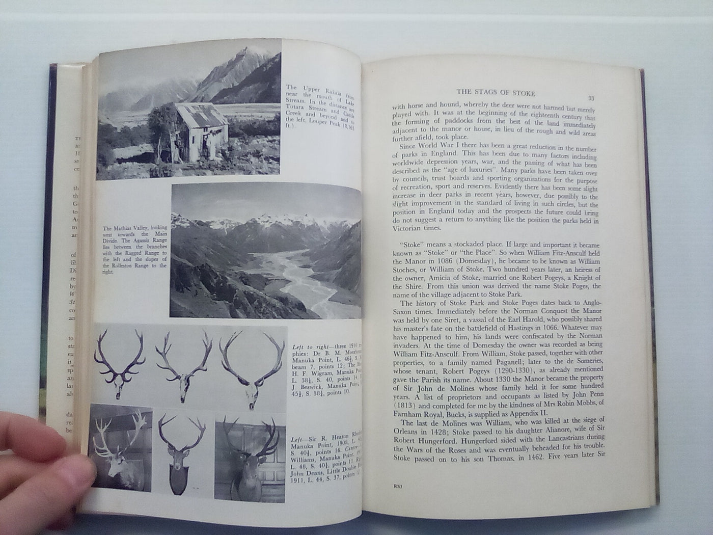 The Red Stags of the Rakaia (1970) by D. Bruce Banwell
