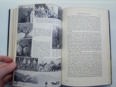The Red Stags of the Rakaia (1970) by D. Bruce Banwell