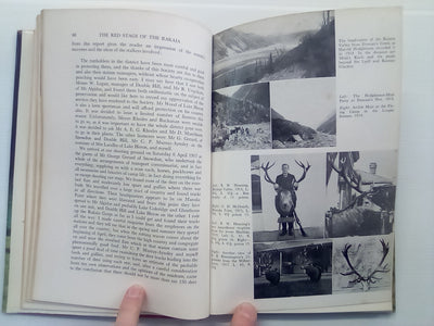 The Red Stags of the Rakaia (1970) by D. Bruce Banwell