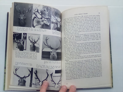 The Red Stags of the Rakaia (1970) by D. Bruce Banwell