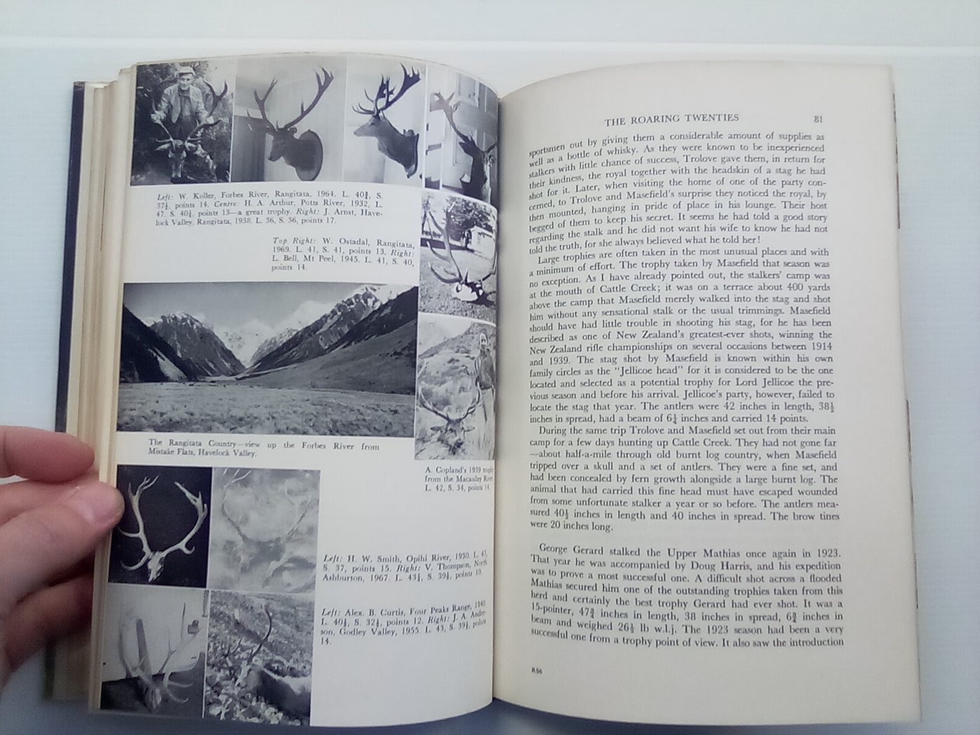 The Red Stags of the Rakaia (1970) by D. Bruce Banwell