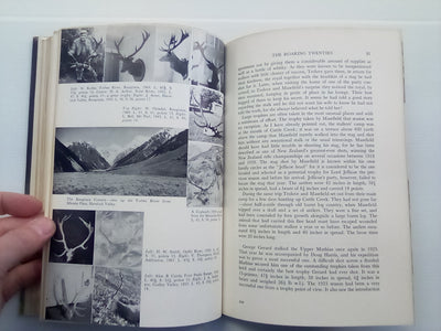 The Red Stags of the Rakaia (1970) by D. Bruce Banwell