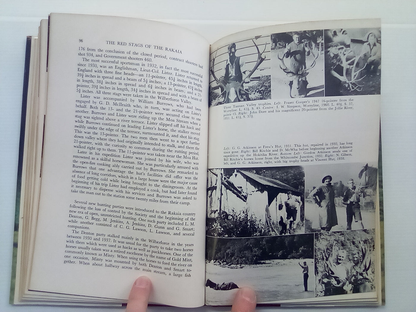 The Red Stags of the Rakaia (1970) by D. Bruce Banwell