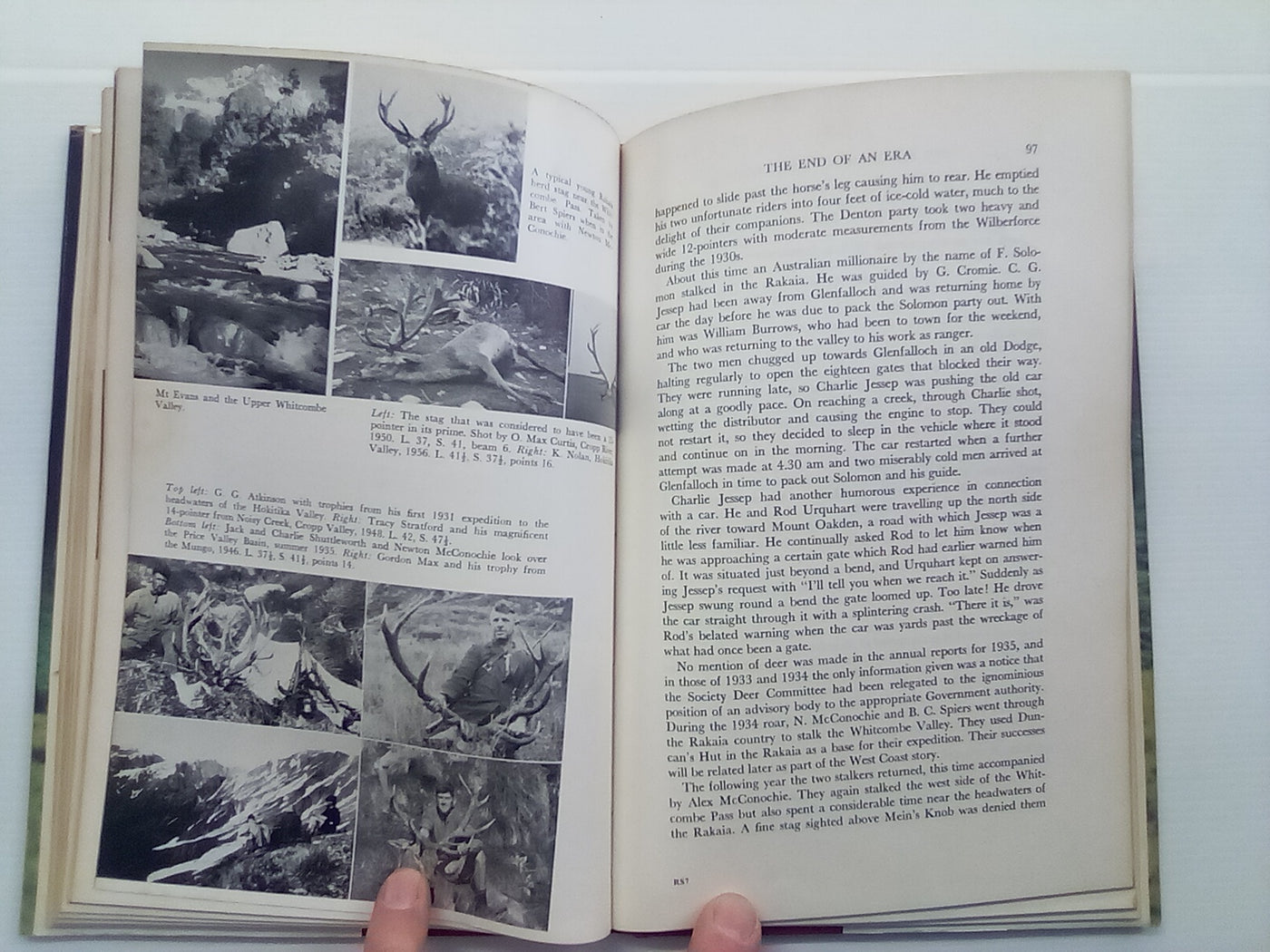 The Red Stags of the Rakaia (1970) by D. Bruce Banwell