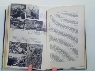 The Red Stags of the Rakaia (1970) by D. Bruce Banwell