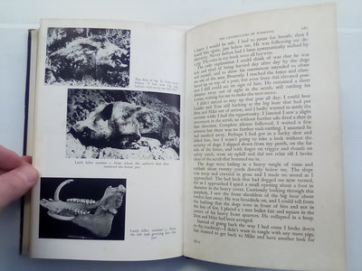 Two Dogs and a Rifle (1968) by Ken Cuthbertson