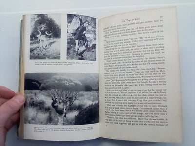 Hunter For Hire (1965) by Rex Forrester and Neil Illingworth