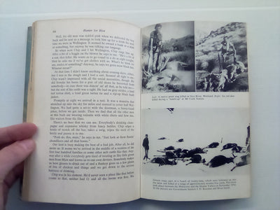 Hunter For Hire (1965) by Rex Forrester and Neil Illingworth