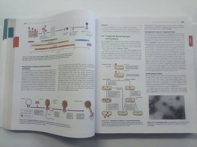 Brock Biology of Microorganisms (14th. Edition) Global Edition