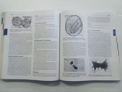 Brock Biology of Microorganisms (14th. Edition) Global Edition