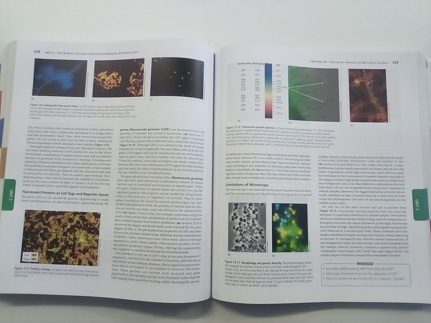Brock Biology of Microorganisms (15th. Edition) Global Edition