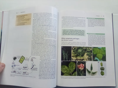 Essential Plant Pathology (2nd. Edition) by G.L. Schumann and C.J. D'Arcy