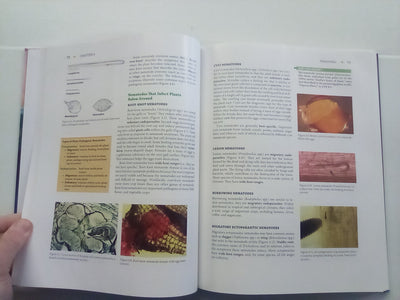 Essential Plant Pathology (2nd. Edition) by G.L. Schumann and C.J. D'Arcy