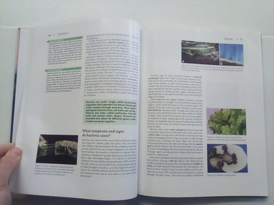 Essential Plant Pathology (2nd. Edition) by G.L. Schumann and C.J. D'Arcy