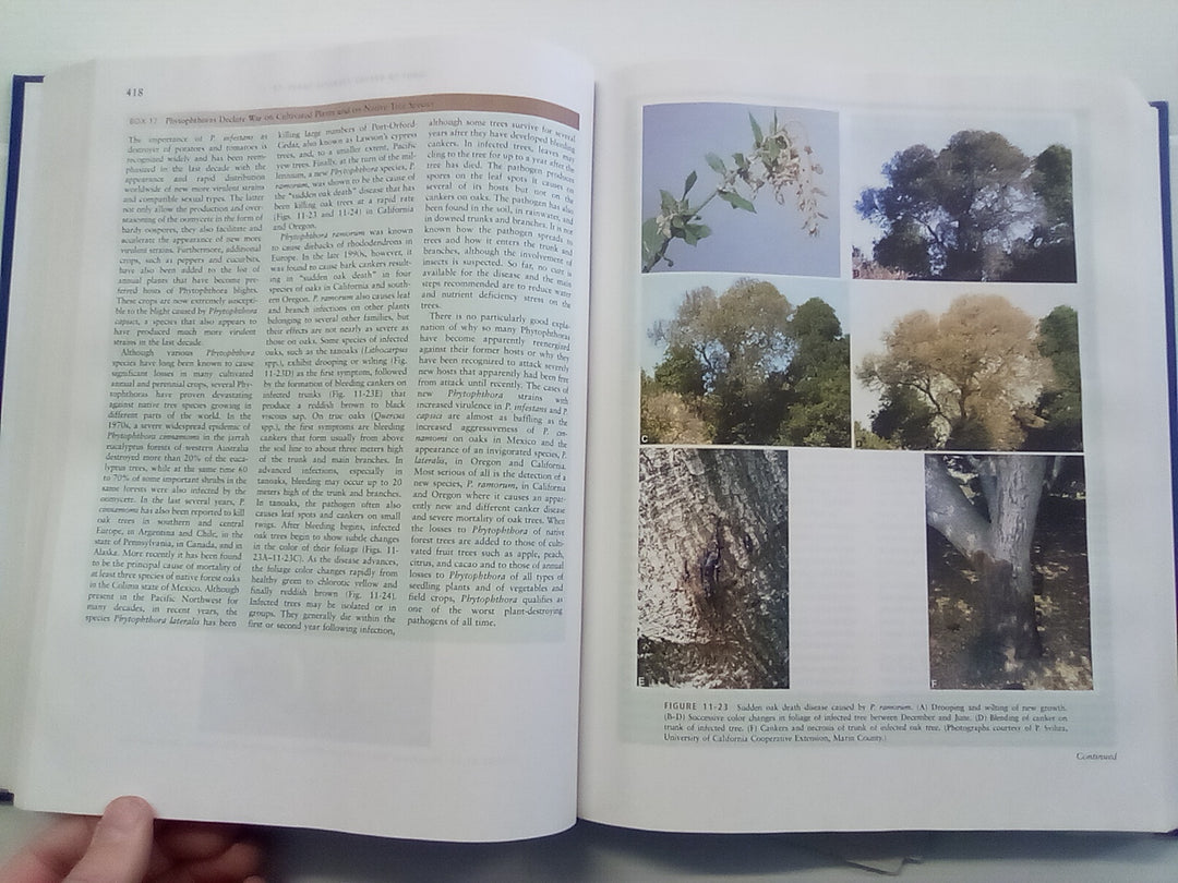 Plant Pathology (5th. Edition) by George N. Agrios – Atlantis Books