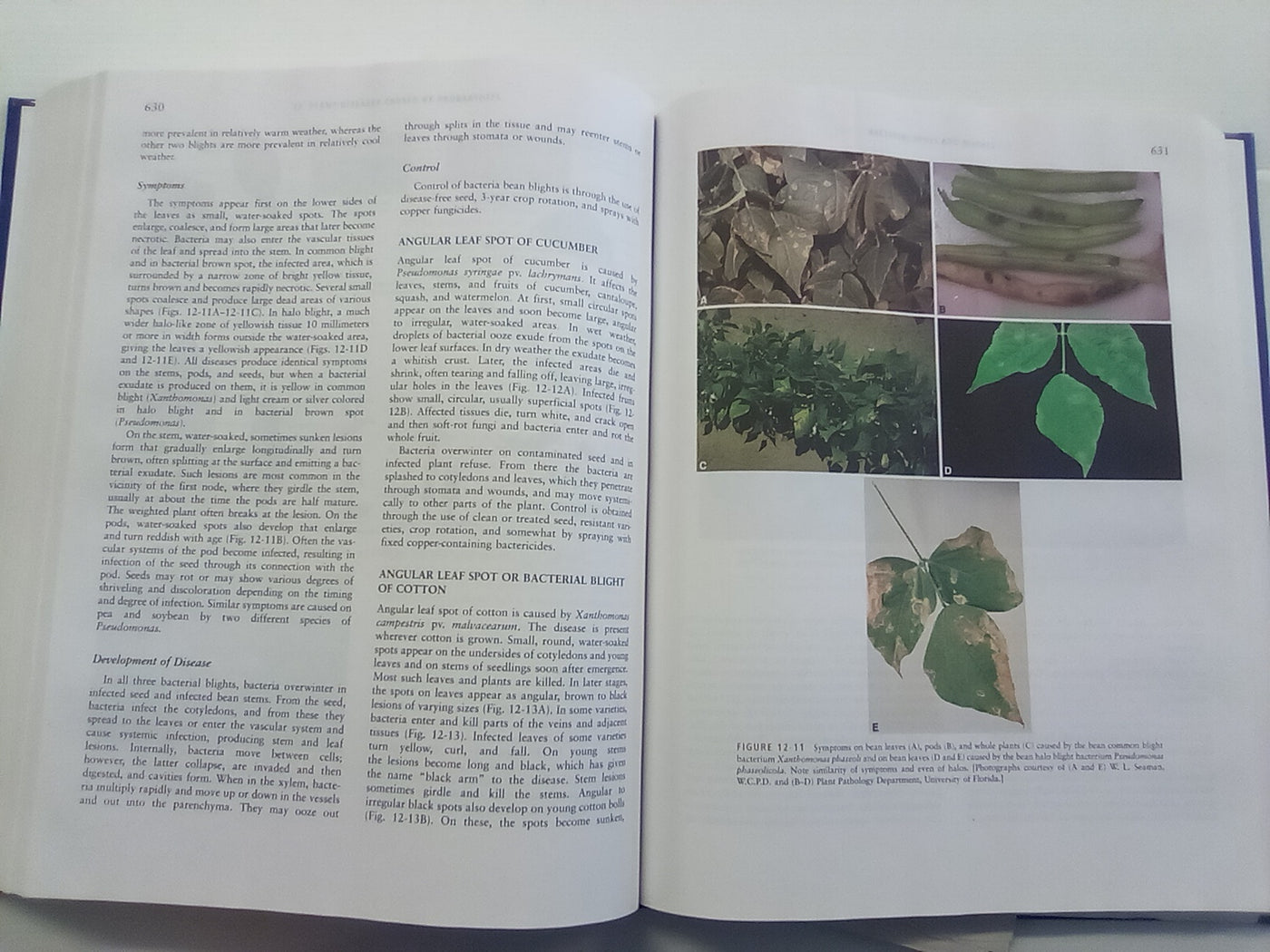 Plant Pathology (5th. Edition) by George N. Agrios