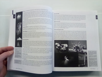 Radical Mycology - Seeing & Working with Fungi by Peter McCoy