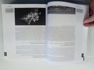 Radical Mycology - Seeing & Working with Fungi by Peter McCoy