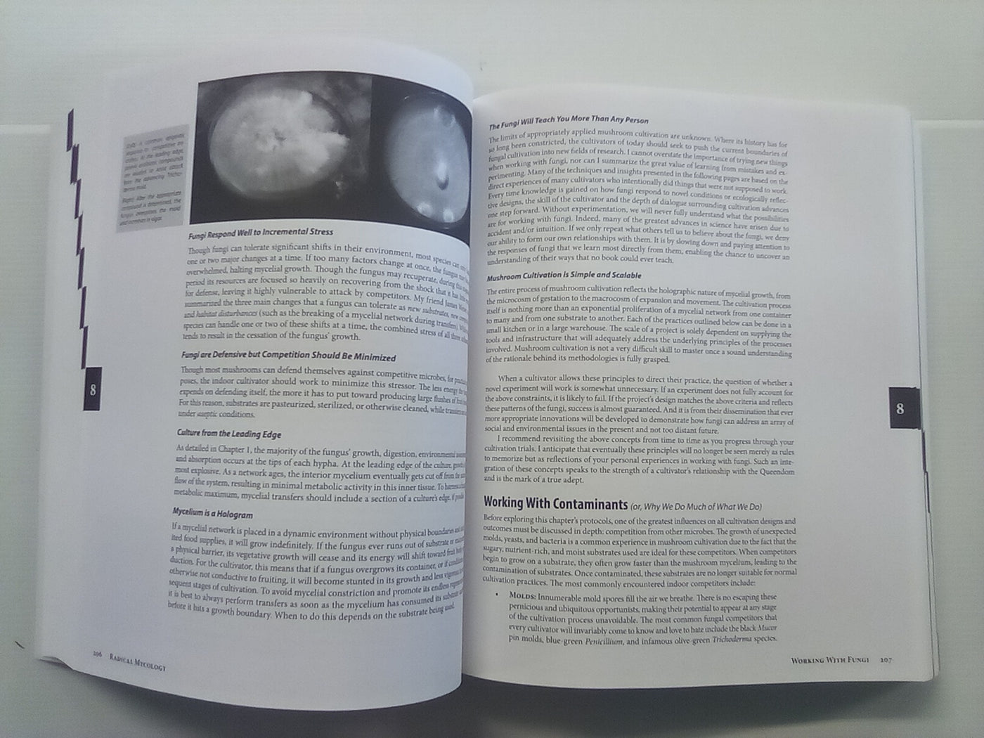 Radical Mycology - Seeing & Working with Fungi by Peter McCoy