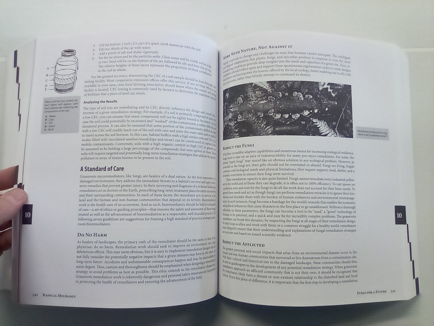 Radical Mycology - Seeing & Working with Fungi by Peter McCoy