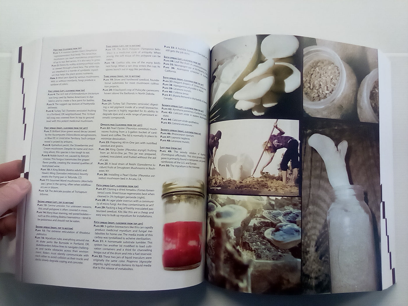 Radical Mycology - Seeing & Working with Fungi by Peter McCoy