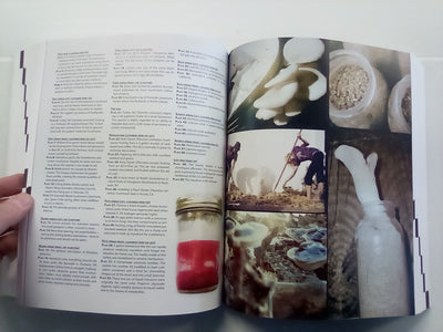 Radical Mycology - Seeing & Working with Fungi by Peter McCoy