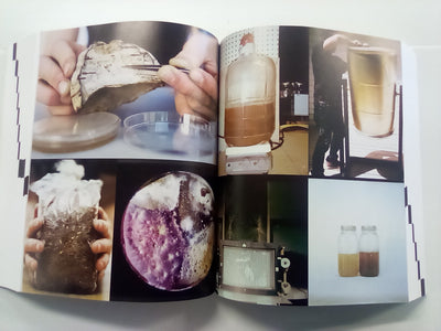 Radical Mycology - Seeing & Working with Fungi by Peter McCoy