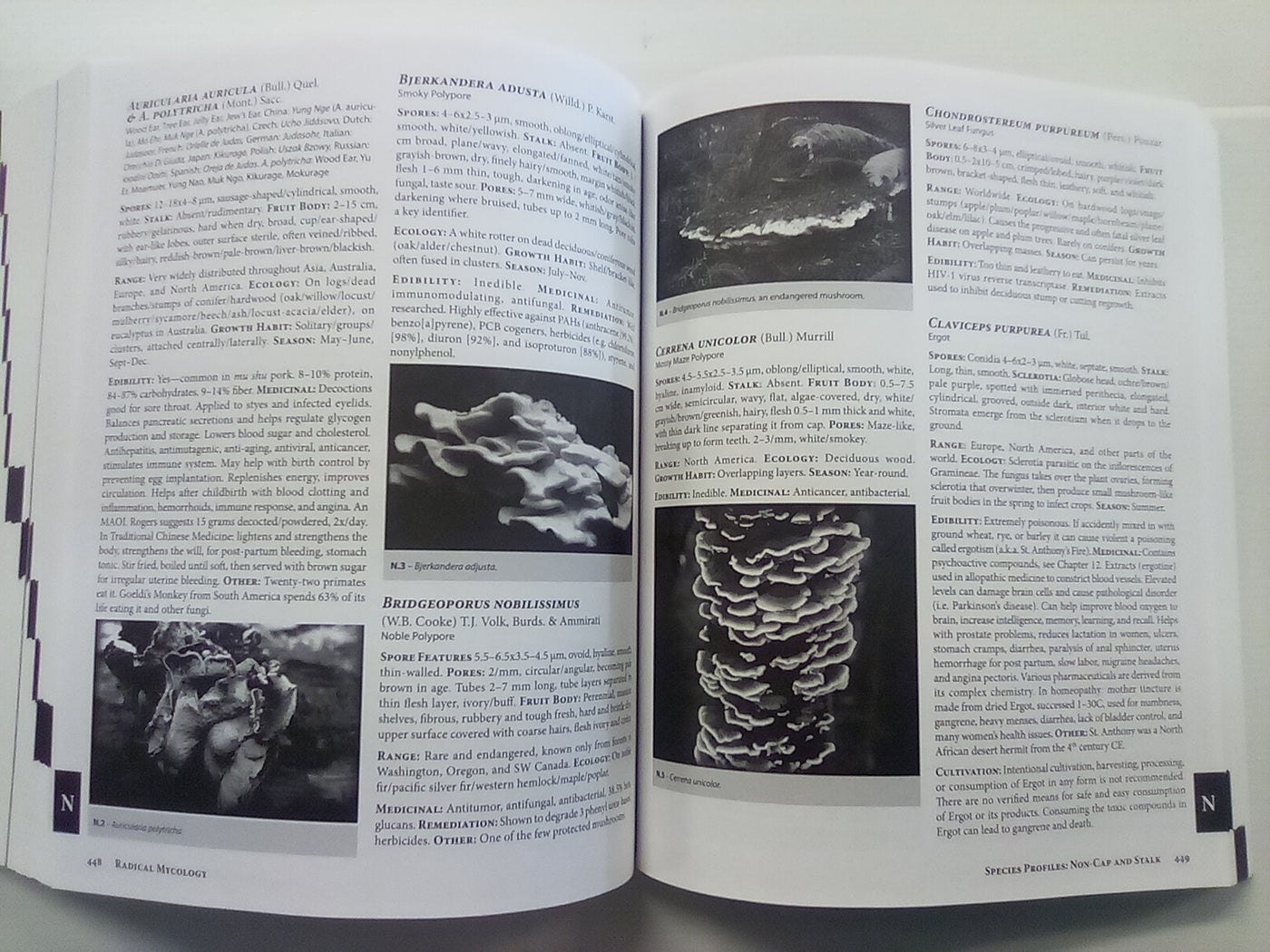 Radical Mycology - Seeing & Working with Fungi by Peter McCoy