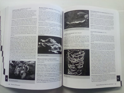 Radical Mycology - Seeing & Working with Fungi by Peter McCoy