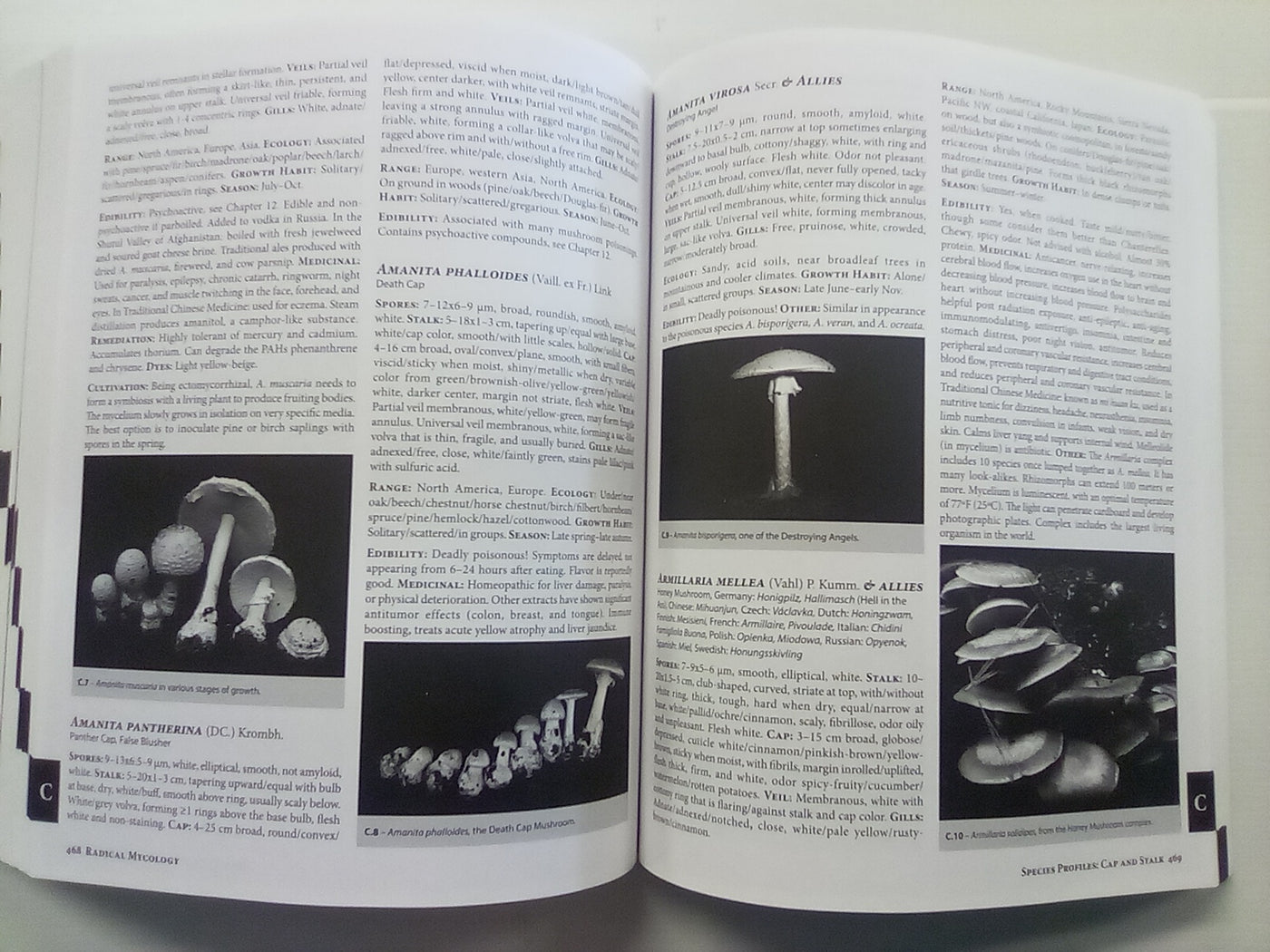 Radical Mycology - Seeing & Working with Fungi by Peter McCoy