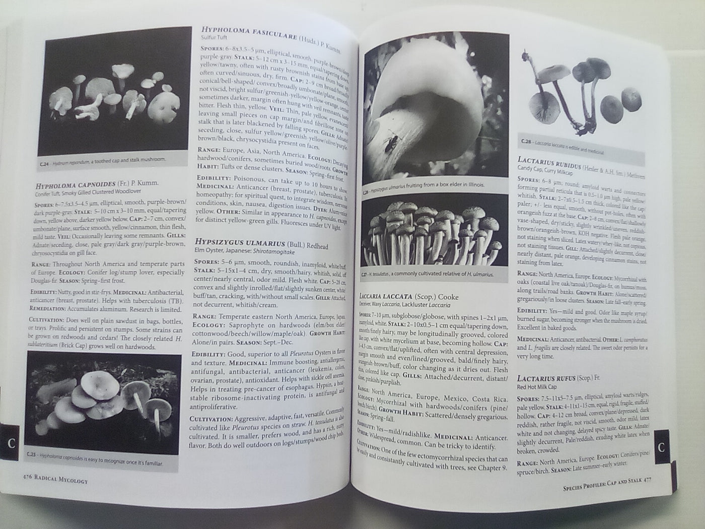 Radical Mycology - Seeing & Working with Fungi by Peter McCoy
