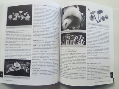 Radical Mycology - Seeing & Working with Fungi by Peter McCoy