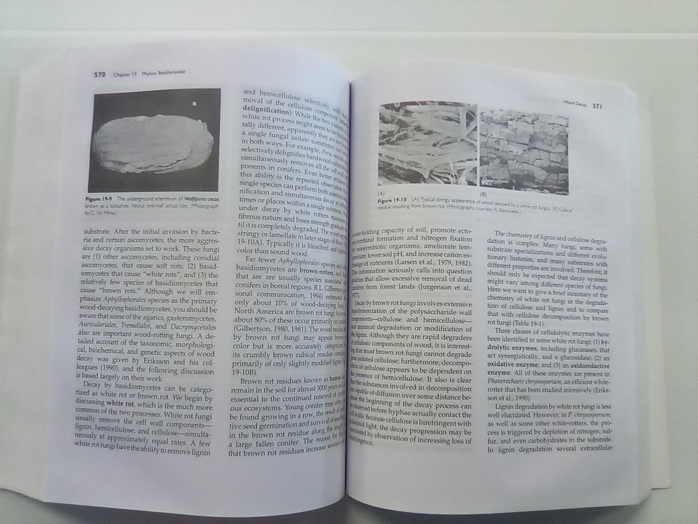 Introductory Mycology by Alexopoulos, Mims, & Blackwell