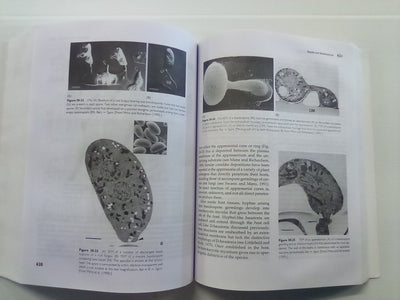 Introductory Mycology by Alexopoulos, Mims, & Blackwell