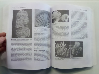 Introductory Mycology by Alexopoulos, Mims, & Blackwell