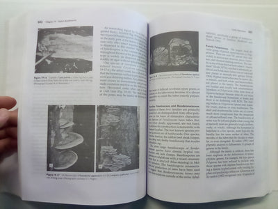 Introductory Mycology by Alexopoulos, Mims, & Blackwell
